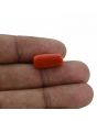 Red Coral (Moonga) - 7.44 Carat 