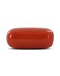 Red Coral (Moonga) - 6.43 Carat 