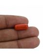 Red Coral (Moonga) - 6.43 Carat 