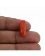 Red Coral (Moonga) - 7.6 Carat 