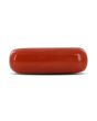 Red Coral (Moonga) - 7.82 Carat 