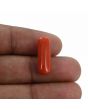 Red Coral (Moonga) - 7.82 Carat 