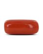 Red Coral (Moonga) - 6.83 Carat 