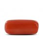 Red Coral (Moonga) - 6.83 Carat 