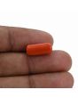 Red Coral (Moonga) - 6.83 Carat 