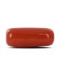 Red Coral (Moonga) - 7.66 Carat 