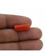 Red Coral (Moonga) - 7.66 Carat 