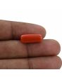 Red Coral (Moonga) - 7.66 Carat 