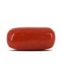 Red Coral (Moonga) - 6.99 Carat 