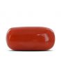 Red Coral (Moonga) - 6.99 Carat 