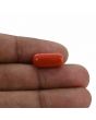 Red Coral (Moonga) - 6.99 Carat 