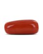 Red Coral (Moonga) - 7.97 Carat 