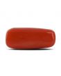 Red Coral (Moonga) - 7.97 Carat 