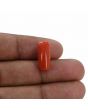 Red Coral (Moonga) - 7.97 Carat 