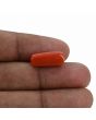 Red Coral (Moonga) - 7.97 Carat 