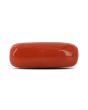 Red Coral (Moonga) - 7.16 Carat 