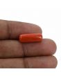 Red Coral (Moonga) - 7.16 Carat 