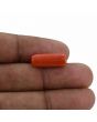 Red Coral (Moonga) - 7.16 Carat 