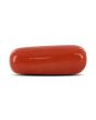 Red Coral (Moonga) - 7.94 Carat 