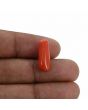 Red Coral (Moonga) - 7.94 Carat 