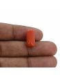 Red Coral (Moonga) - 7.33 Carat 