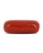 Red Coral (Moonga) - 6.55 Carat 