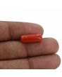 Red Coral (Moonga) - 6.55 Carat 