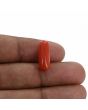 Red Coral (Moonga) - 6.55 Carat 
