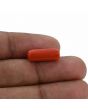 Red Coral (Moonga) - 6.55 Carat 