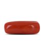 Red Coral (Moonga) - 7.46 Carat 
