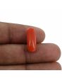 Red Coral (Moonga) - 7.14 Carat 