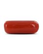 Red Coral (Moonga) - 7.33 Carat 
