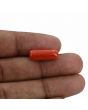 Red Coral (Moonga) - 7.33 Carat 