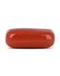 Red Coral (Moonga) - 7.69 Carat 