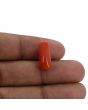 Red Coral (Moonga) - 7.38 Carat 