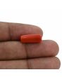 Red Coral (Moonga) - 7.38 Carat 