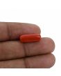 Red Coral (Moonga) - 6.61 Carat 