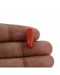 Red Coral (Moonga) - 6.61 Carat 