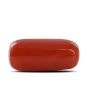 Red Coral (Moonga) - 6.76 Carat 