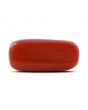 Red Coral (Moonga) - 6.76 Carat 