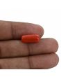 Red Coral (Moonga) - 6.76 Carat 