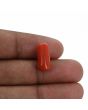Red Coral (Moonga) - 6.76 Carat 