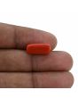 Red Coral (Moonga) - 6.76 Carat 