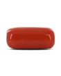 Red Coral (Moonga) - 6.28 Carat 