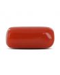 Red Coral (Moonga) - 6.28 Carat 
