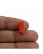 Red Coral (Moonga) - 6.28 Carat 