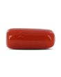 Red Coral (Moonga) - 3.8 Carat 