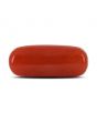Red Coral (Moonga) - 4.23 Carat 