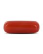Red Coral (Moonga) - 4.18 Carat 