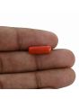 Red Coral (Moonga) - 4.18 Carat 